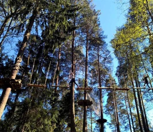 Polttarit: Seikkailu latvuksissa Zippy seikkailupuistossa Zippy seikkailupuisto Helsingissä