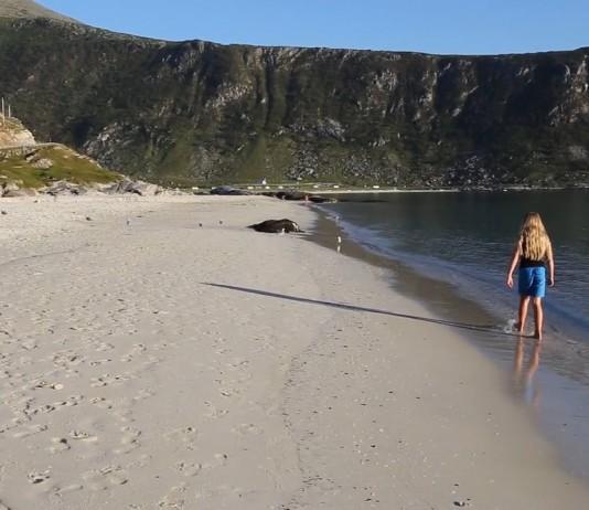 Matkailu Norja: Lofootit matkailuautolla