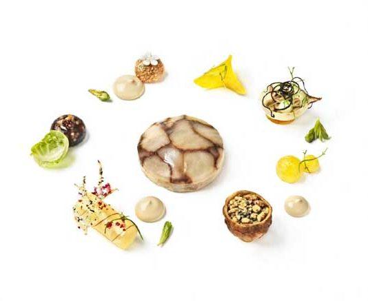 Bocuse d’Or: Suomi maistuu herkkutatille ja kuuselle