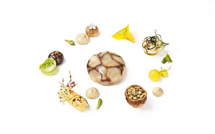 Bocuse d’Or: Suomi maistuu herkkutatille ja kuuselle