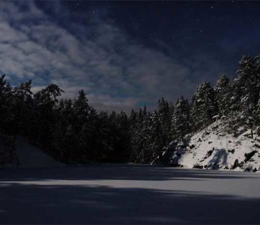 100 luontohelmeä: Uudenmaan kaunottaret