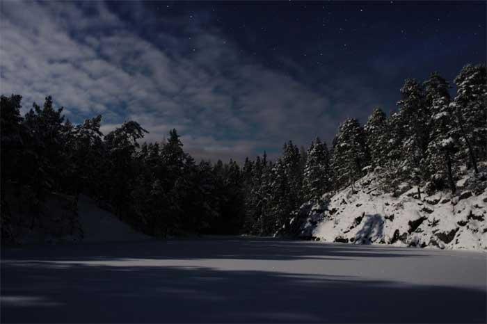 100 luontohelmeä: Uudenmaan kaunottaret