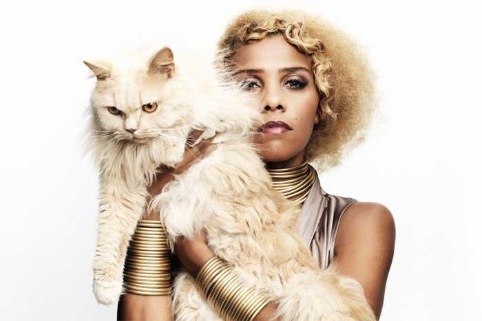 Muutamassa vuodessa maailmalla laajaan suosioon noussut Alice Francis hallitsee jazz- ja hiphop-sävyisen ja 30-luvun swingin makuisen elektronisen popmusiikin. Alicia Keysiin, Macy Grayhin ja Erykah Baduun verrattu Alice Francis esiintyy ensimmäistä kertaa Suomessa, Savoy-teatterissa vappuaattona 30.4.2017. Alice Francisin kappaleita on katsottu YouTubessa miljoonia kertoja. Suosituimpiin lukeutuvat Shoot Him Down 6,3 miljoonalla ja St. James Ballroom 2,4 miljoonalla katselulla. Tärkeimpinä vaikuttajinaan laulaja Miss Francis pitää Josephine Bakeria, Billie Holidayta ja Ella Fitzgeraldia. Laulaja voidaankin nähdä modernina versiona näistä legendaarisista artisteista tyyleineen ja monipuolisine äänialoineen.