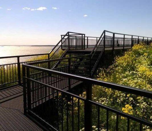 Vallisaari houkuttelee kävijöitä uusilla palveluilla