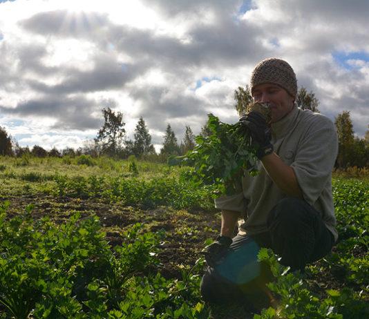 Ravintola C kuljettaa asiakkaansa maaseudulle syömään – Pop up -ravintola Rekolan tilalla 1.-5.8.2017