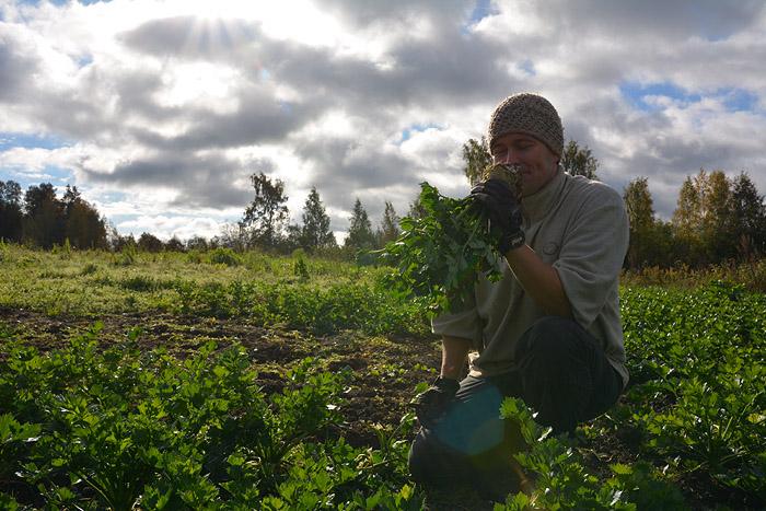 Ravintola C kuljettaa asiakkaansa maaseudulle syömään – Pop up -ravintola Rekolan tilalla 1.-5.8.2017