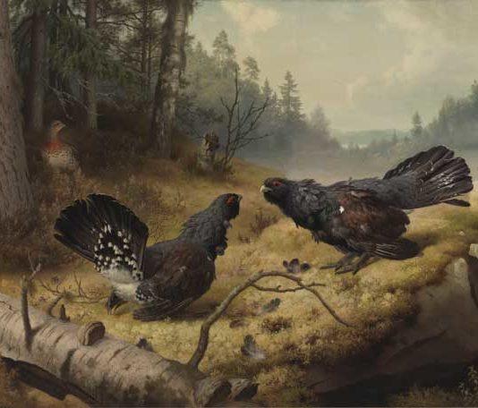 Veljekset von Wright -näyttely yhdistää nokkelasti taiteen ja Korkeasaaren eläintarhavierailun