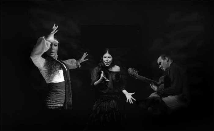 Brindamos Flamenco: Estefania Narvaez, María López, Otso Krunasta