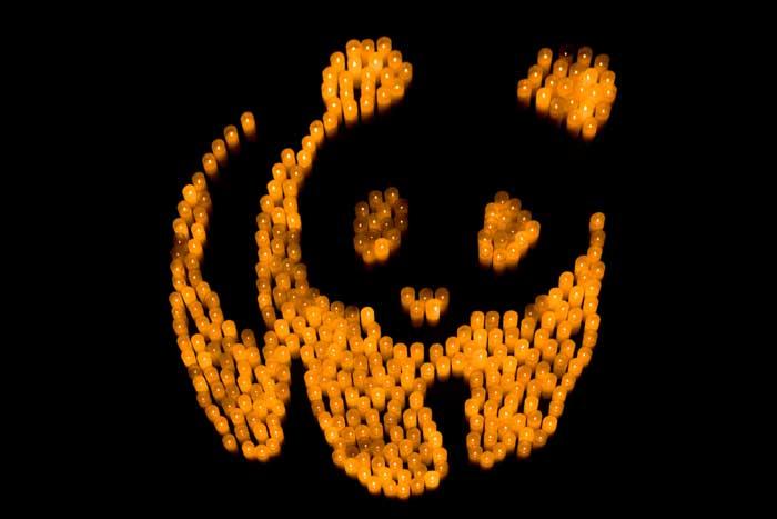 LA 24.3. | WWF:n Earth Hour kannustaa jälleen ilmastotekoihin Helsingin ruokalautasilla