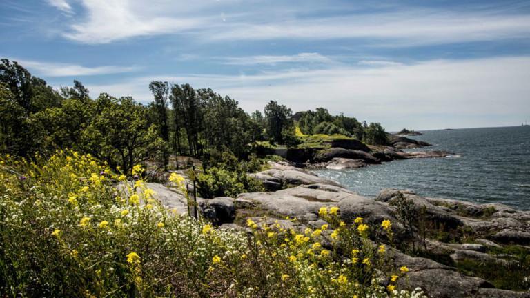 Nykytaidetapahtuma Helsinki Biennaali toteutuu kesällä 2021