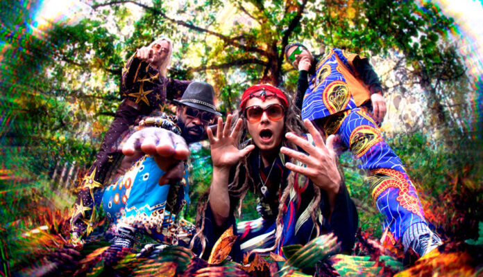 Zamrock on musiikki tyylilaji joka syntyi sambiassa 60- ja 70-luvun taitteessa. Näihin aikoihin länsimaalainen rock’n’roll ja proge oli rantautunut sambiaan. Paikalliset muusikot imivät länkkärimusasta vaikutteita ja lisäsivät siihen omia rytmejään ja mausteitaan. Näin syntyi zamrock. Zangoma on uusi suomalais-sambialainen bändi joka on ottanut tehtäväkseen tuoda zamrockin tälle vuosikymmenelle. Dynaamisilla soittajilla ja vahvalla solistilla varustettu yhtye vie sinut maailmaan josta et halua tulla takaisin. History in the making!