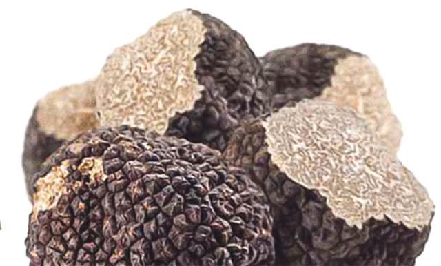 Tryffelit hurmaavat ja huumaavat Tiiliholvissa 20.-1.11.2014