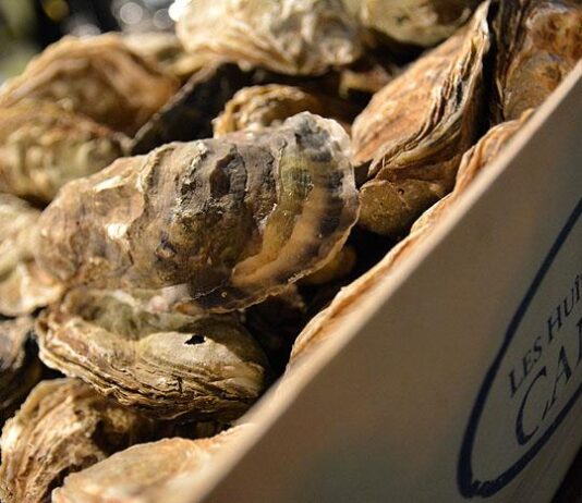 Tuulensuu juhlii uutenavuotena – samppanjaa ja muita laatukuplivia laseittain!