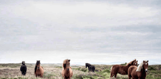 Tampereen messutapahtumat 2022