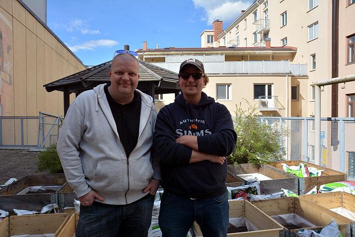 Bertha villiintyi kaupunkiviljelystä – raaka-aineita keittiöön suoraan takapihalta