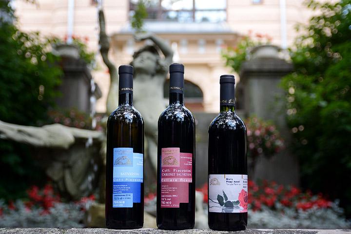 Viehkoja Tenuta Pernicen viinejä ja villisorsaa Finlaysonin Palatsin syksyssä