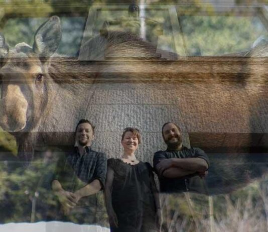 Lähimetsien hirveä Aistin kausimenulla