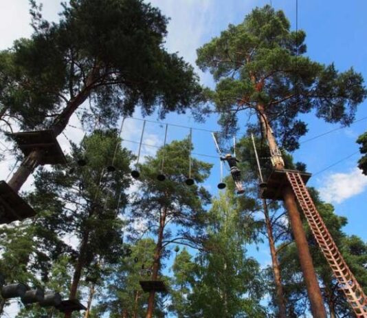 Flowparkkausta honkien huminassa – Flow Park Varala Pyynikinharjun järvimaisemissa