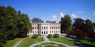 Hatanpään arboretum tarjoilee kesällä räiskyvää ruusujen kukkaloistetta Arboretumin kesäkahvilat. Kuva: Kohokohdat.fi