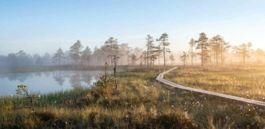 Kotimaan matkailumessut -Suot ovat Lauhanvuori – Hämeenkangas Geoparkin ydintä