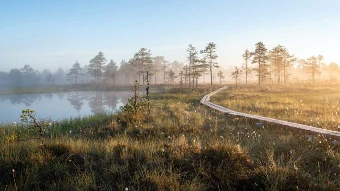 Kotimaan matkailumessut -Suot ovat Lauhanvuori – Hämeenkangas Geoparkin ydintä