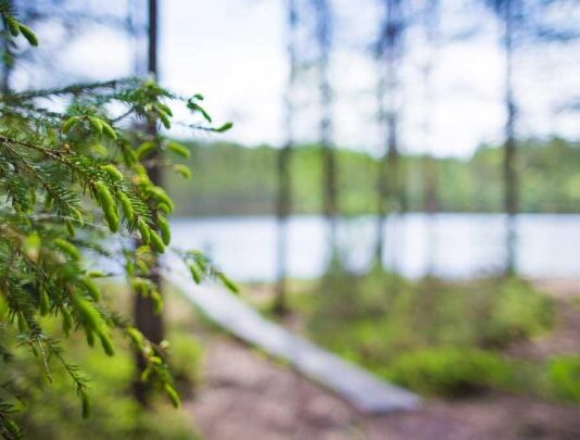Seitsemisen kansallispuisto Seitsemisen kansallispuisto
