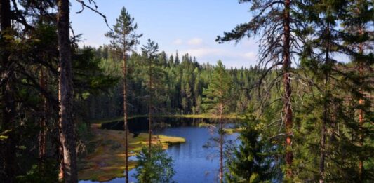 Isojärven kansallispuisto Pirkanmaalla