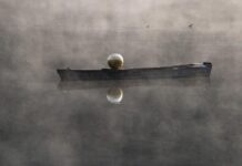 Sara Hildénin näyttelyt 2024-2025