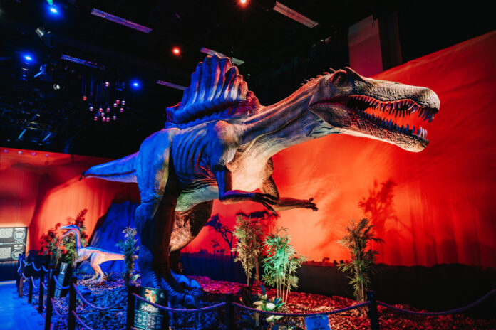 Koko perheen Dinosaurukset-kesänäyttely on esillä Tampere-talossa 13.8.2023 asti. Kuva: Matias Ahonen