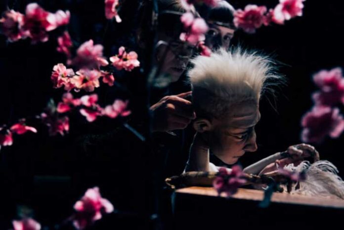 leda Leda. Kuva: Jesper Dolgov