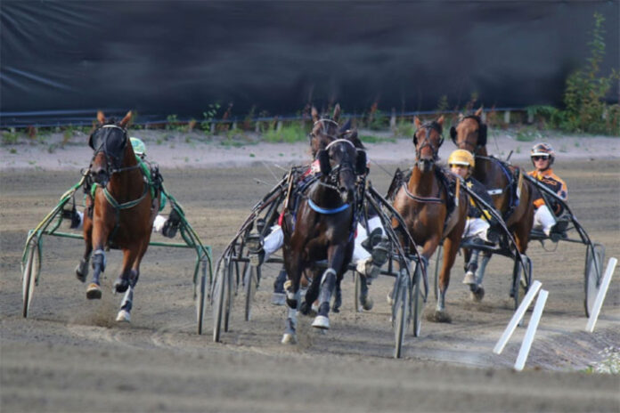 teivon-ravit Kuninkuusravit Teivossa 2026