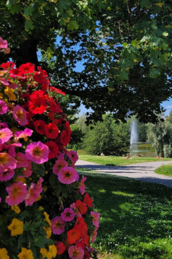 Sorsapuisto Tampere kesällä