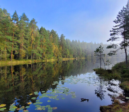 Pirkkalan korkein huippu ja erityisesti sen juurella Iso Naistenjärvi laavuineen tarjoilee eräkokemuksen Iso-Naistenjärvi Pirkkalassa