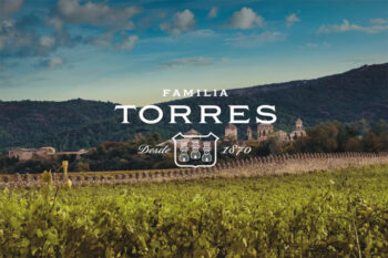 Grill it! Paja Tampere x Torres Tasting Menu