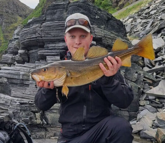 Dabbalin uusi keittiömestari on pohjoisen keittiössä kotonaan Ravintola Dabbal: Keittiömestari Matias Kunnari - Tampereen parhaat keittiömestarit