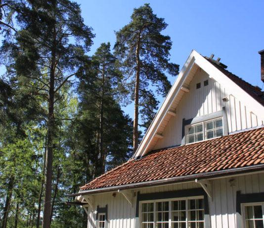 Sibeliuksen Ainola on ainutlaatuisen kaunis taiteilijakoti Järvenpäässä