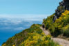 madeira-portugali-levada2