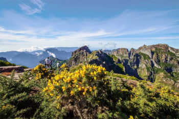 Madeiran saari Portugalissa on kelluva puutarha, jonka luonto ja kulttuuri vievät matkailijan uuteen maailmaan., Portugali on