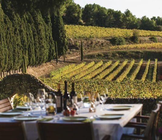 Viinin tie sähköautolla Kataloniassa