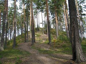 Kapatuosian ”linnavuori”