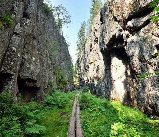 TULOSSA: Orinoron rotko