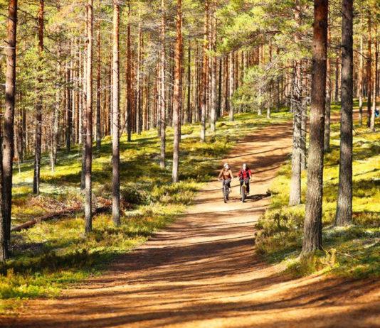Rokuanvaara on Oulun läheisyydestä löytyvä Vuoden Retkikohde 2018 Rokuanvaara