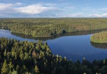 Aulangonjärvi – upea patikointikohde Hämeenlinnassa