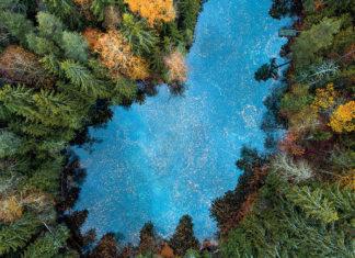 Hollolan Kiikunlähde – yksi Suomen kauneimmista lähteistä on herkkä luonnonihme