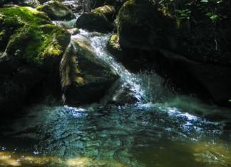 Kinnankoski ja Seelammi – Etelä-Suomen kaunein metsäpuro ja metsälampi vierekkäin