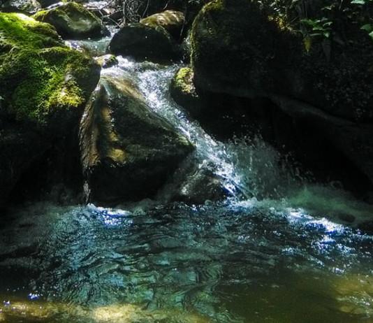 Kinnankoski ja Seelammi – Etelä-Suomen kaunein metsäpuro ja metsälampi vierekkäin