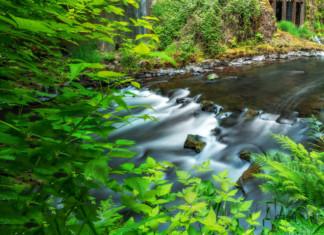 TULOSSA: Immilän mylly – levähdyspaikka perinteikkäässä koskimiljöössä