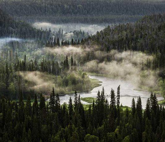 Patikoimaan ja melomaan Oulangan kansallispuistoon Kuusamon vaellusreiteille Oulanka ja Rukan matkailualue