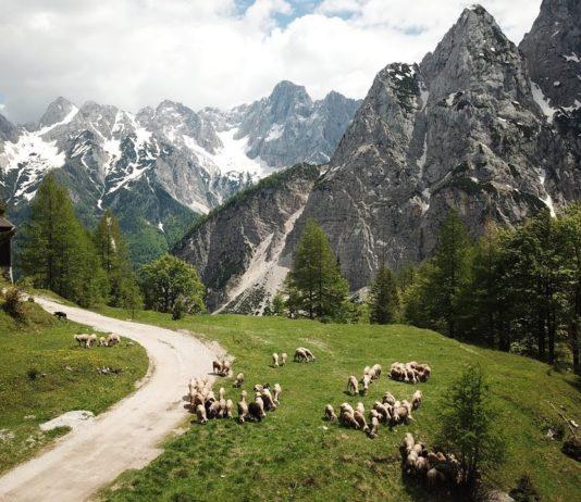 Road trip Triglavin kansallispuistossa Sloveniassa