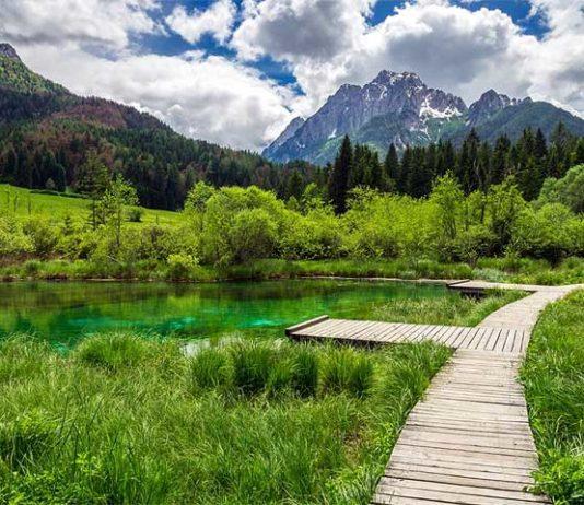 Zelenci Nature Reserve Slovenia